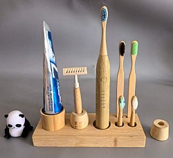 Toothbrush and Holders