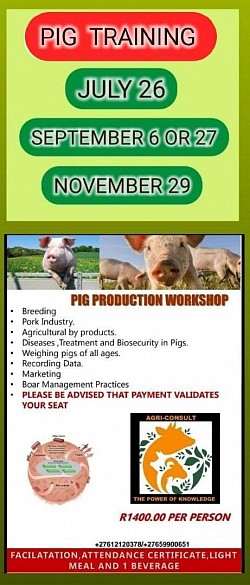Pig Husbandry Practices Training Centurion  To make your booking:   Whatsapp your  Name & Surname & or Business name Id number for your Certificate Email address for invoice Contact number  The invoice will be sent if you are ready to book & making a eft payment after receiving the invoice  We print your Business Manual & Certificate  Melinda 0612120378