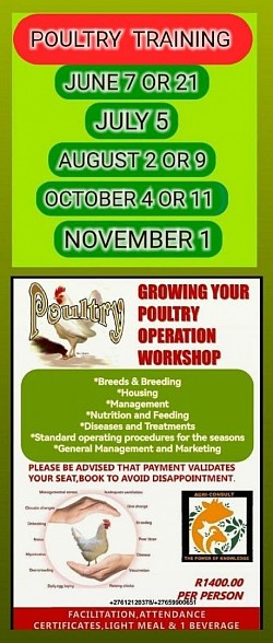 Broiler Production Training Centurion  To make your booking:   Whatsapp your  Name & Surname & or Business name Id number for your Certificate Email address for invoice Contact number  The invoice will be sent if you are ready to book & making a eft payment after receiving the invoice  We print your Business Manual & Certificate  Melinda 0612120378