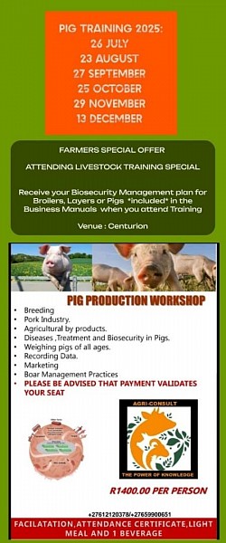 Pig Husbandry Practices Training Centurion  To make your booking:   Whatsapp your  Name & Surname & or Business name Id number for your Certificate Email address for invoice Contact number  The invoice will be sent if you are ready to book & making a eft payment after receiving the invoice  We print your Business Manual & Certificate  Melinda 0612120378