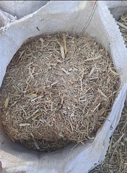 Bainsvlei Bloemfontein   Gemaalde mieliereste beskikbaar @R50 per streep sak of R45 + lee sak  1.5m ronde mieliereste bale beskikbaar  @R405 elk  Ground maize leftovers available @R50 per Big bag or R45 + empty bag  1.5m round maize residue bales available @R405 each  Melinda 0612120378