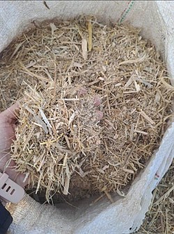 Bainsvlei Bloemfontein   Gemaalde mieliereste beskikbaar @R50 per streep sak of R45 + lee sak  1.5m ronde mieliereste bale beskikbaar  @R405 elk  Ground maize leftovers available @R50 per Big bag or R45 + empty bag  1.5m round maize residue bales available @R405 each  Melinda 0612120378
