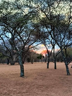 PLAASSKUUR BOSVELD LODGE   Slegs 75km vanaf Pta en 30km buite Brits !!!! 8-10 AUGUSTUS ( 1 X 4 SLEEPER BESKIKBAAR) 22-24 AUGUSTUS  5-7 SEPTEMBER 12-14 SEPTEMBER 19-21 SEPTEMBER SKOOLVAKANSIE !!! BRAAIDAG 24 SEPTEMBER, LANGNAWEKE !!! 4 Sleeper @ vanaf slegs R850/nag/chalet 6 Sleeper @ vanaf slegs R1250/nag/chalet MIDWEEK SPECIALS VAN AF SLEGS R1200 !!!!! 4 sleeper @ slegs R1200 vir pensionarisse 4 sleeper @ slegs R2000 vir nie pensionarisse!! BESPREEK NOU BY Melinda  +27612120378