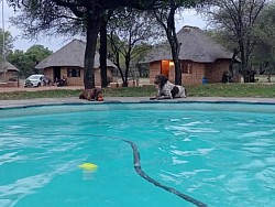 PLAASSKUUR BOSVELD LODGE   Slegs 75km vanaf Pta en 30km buite Brits !!!! 8-10 AUGUSTUS ( 1 X 4 SLEEPER BESKIKBAAR) 22-24 AUGUSTUS  5-7 SEPTEMBER 12-14 SEPTEMBER 19-21 SEPTEMBER SKOOLVAKANSIE !!! BRAAIDAG 24 SEPTEMBER, LANGNAWEKE !!! 4 Sleeper @ vanaf slegs R850/nag/chalet 6 Sleeper @ vanaf slegs R1250/nag/chalet MIDWEEK SPECIALS VAN AF SLEGS R1200 !!!!! 4 sleeper @ slegs R1200 vir pensionarisse 4 sleeper @ slegs R2000 vir nie pensionarisse!! BESPREEK NOU BY Melinda  +27612120378