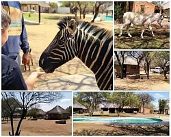 PLAASSKUUR BOSVELD LODGE   Slegs 75km vanaf Pta en 30km buite Brits !!!! 8-10 AUGUSTUS ( 1 X 4 SLEEPER BESKIKBAAR) 22-24 AUGUSTUS  5-7 SEPTEMBER 12-14 SEPTEMBER 19-21 SEPTEMBER SKOOLVAKANSIE !!! BRAAIDAG 24 SEPTEMBER, LANGNAWEKE !!! 4 Sleeper @ vanaf slegs R850/nag/chalet 6 Sleeper @ vanaf slegs R1250/nag/chalet MIDWEEK SPECIALS VAN AF SLEGS R1200 !!!!! 4 sleeper @ slegs R1200 vir pensionarisse 4 sleeper @ slegs R2000 vir nie pensionarisse!! BESPREEK NOU BY Melinda  +27612120378