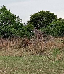 PLAASSKUUR BOSVELD LODGE   Slegs 75km vanaf Pta en 30km buite Brits !!!! 8-10 AUGUSTUS ( 1 X 4 SLEEPER BESKIKBAAR) 22-24 AUGUSTUS  5-7 SEPTEMBER 12-14 SEPTEMBER 19-21 SEPTEMBER SKOOLVAKANSIE !!! BRAAIDAG 24 SEPTEMBER, LANGNAWEKE !!! 4 Sleeper @ vanaf slegs R850/nag/chalet 6 Sleeper @ vanaf slegs R1250/nag/chalet MIDWEEK SPECIALS VAN AF SLEGS R1200 !!!!! 4 sleeper @ slegs R1200 vir pensionarisse 4 sleeper @ slegs R2000 vir nie pensionarisse!! BESPREEK NOU BY Melinda  +27612120378