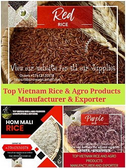 Import rice