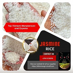 Rice